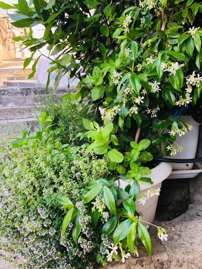 A Casa Da Anita Villa Palazzolo Acreide Ngoại thất bức ảnh