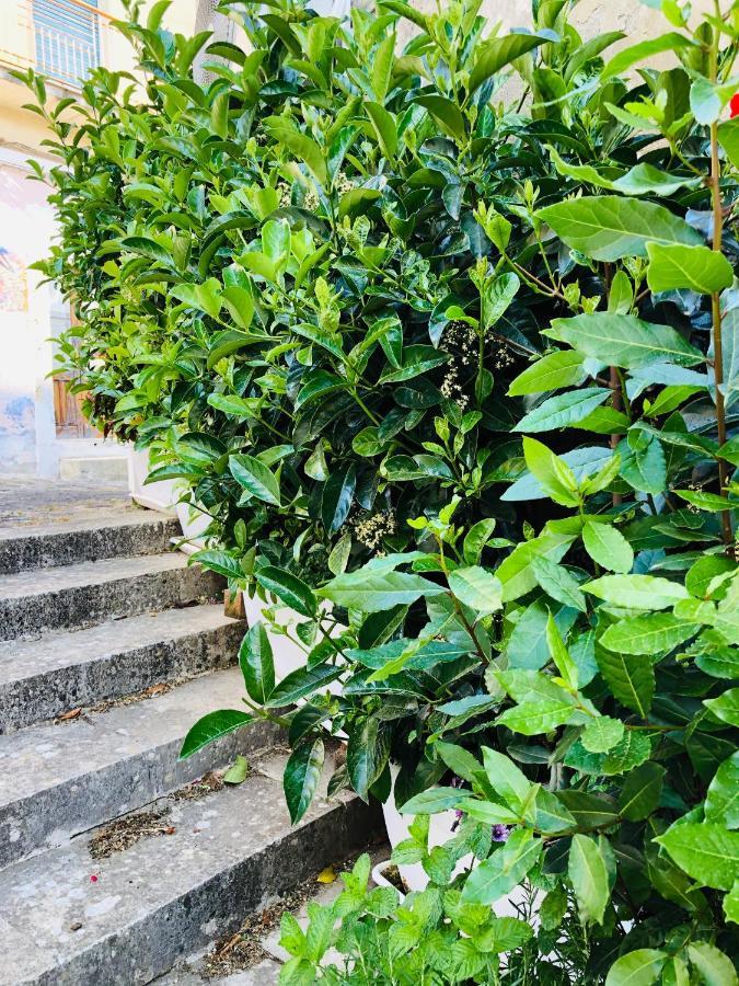 A Casa Da Anita Villa Palazzolo Acreide Ngoại thất bức ảnh